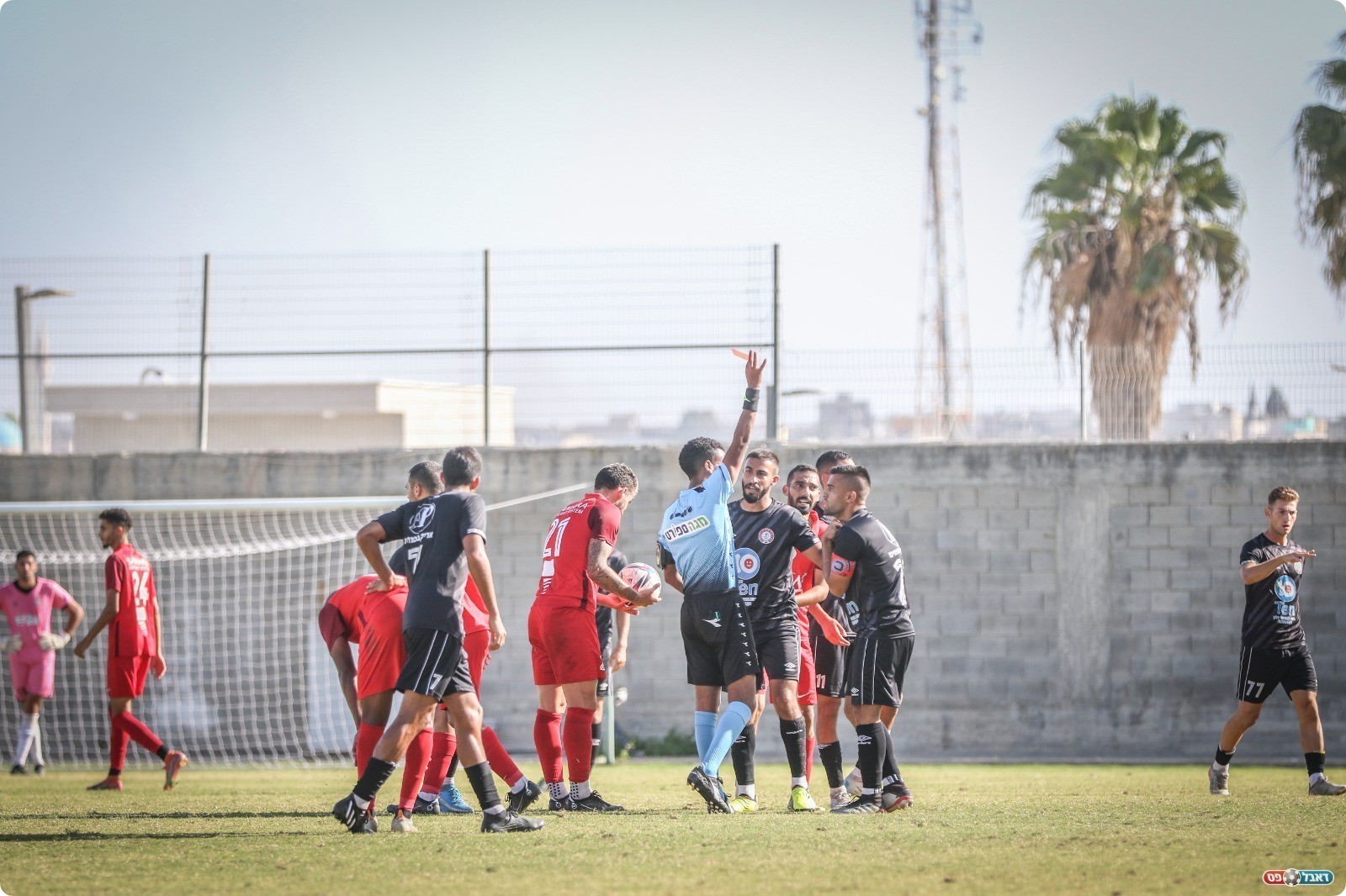 נפרדו בחלוקת נקודות (וואסים מוואסי)